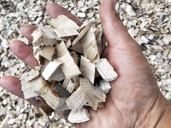 Wood chips made by wood chipping machine